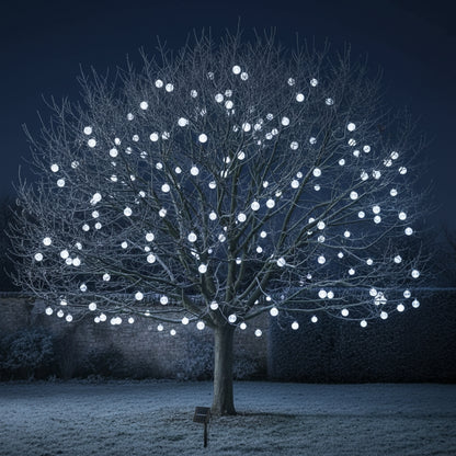 guirlande exterieur solaire froid LumiBlancheNeige illumine feuillu hiver