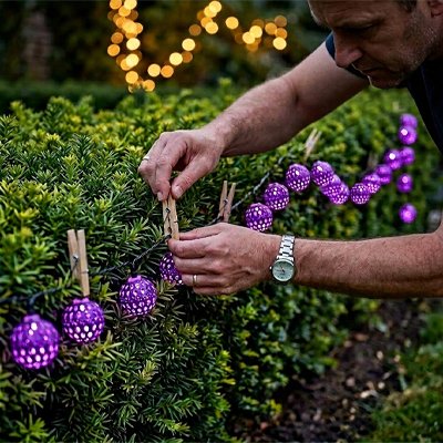 guirlande solaire violet jeux lumière attachée ligne droite haie