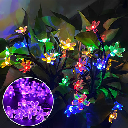 Guirlandes solaires extérieures | LumiFleurs™️
