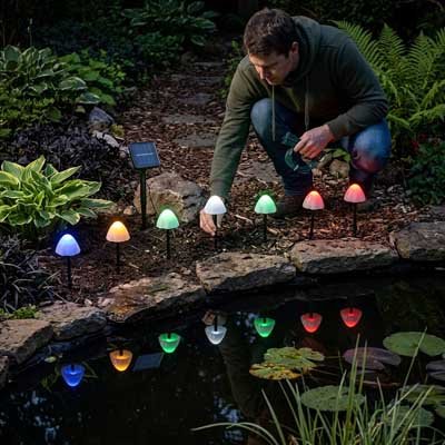 homme bordure eau guirlande lumineuse extérieur solaire champignon multicolore